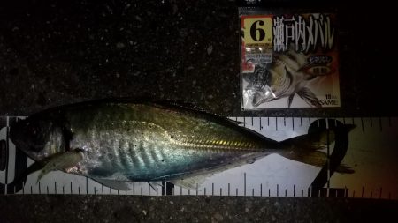 総入れ替えその②