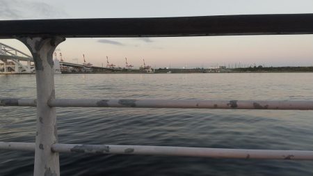 久し振りに良型ゲット