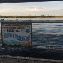 本日も舞洲に行って来ました。