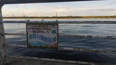 本日も舞洲に行って来ました。