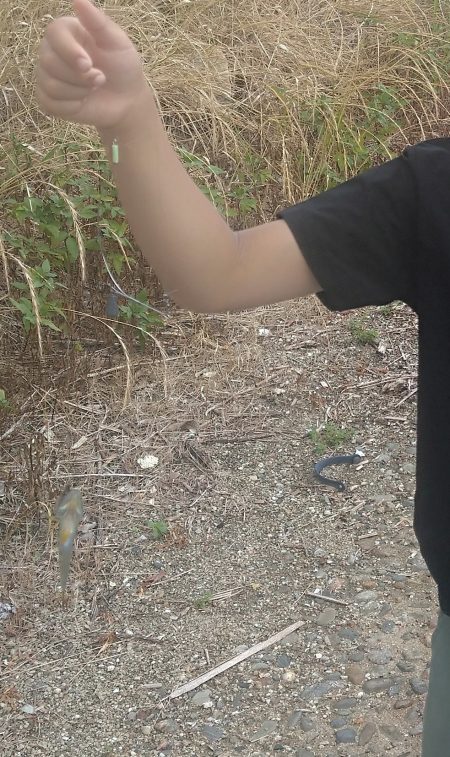 久々の愛知県での釣りは