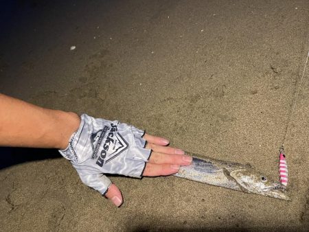 三重サーフでまさかのタチウオ!?