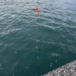 友達と釣りに🎣