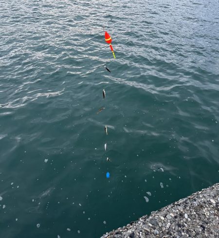 友達と釣りに🎣