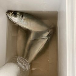 ⭐︎サイズは良き