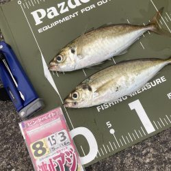 ⭐︎まだまだイケそう