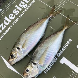 ⭐︎1センチの壁