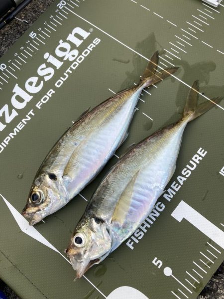 ⭐︎1センチの壁