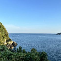 久しぶりのフカセ