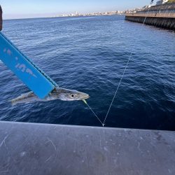 渋い人マシマシ!