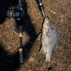 アーバンチニング③