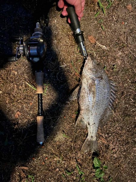 アーバンチニング③