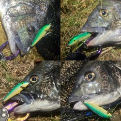 雨パワー!ᕙ( ‘ω’)ᕗ