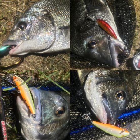 月を見ながらお散歩チニング