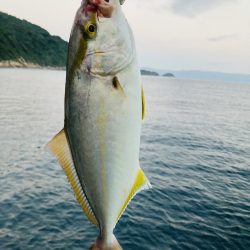 ライトショアジギング