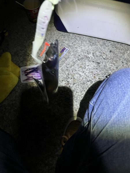 銀色のアイツら