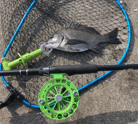 活性高かったが2枚