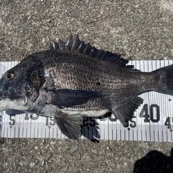 イチノ兄弟、釣果！