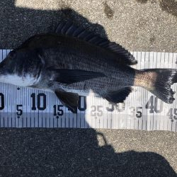 イチノ兄弟、釣果!