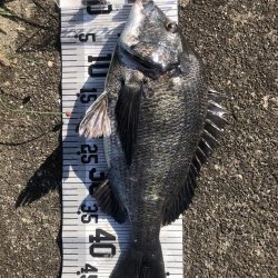 イチノ兄弟、釣果!