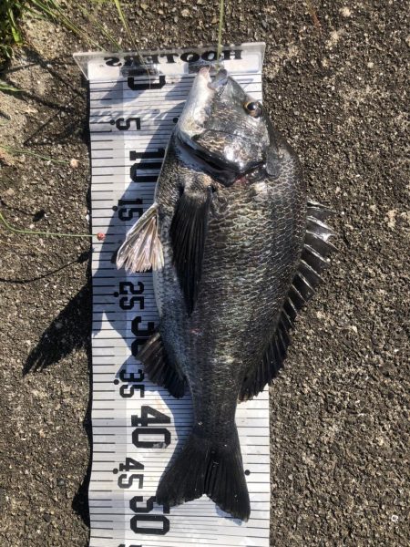 イチノ兄弟、釣果!