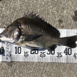 イチノ兄弟、釣果!