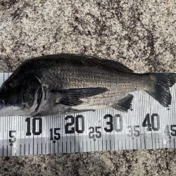 イチノ兄弟、釣果!