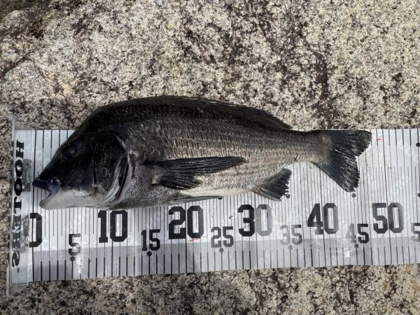 イチノ兄弟、釣果!