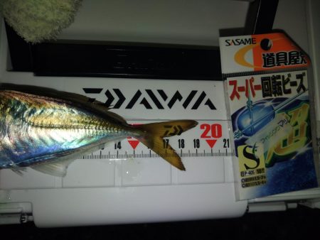 フロートゲーム~