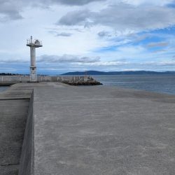 サビキとナス型オモリのみでサビキ釣り