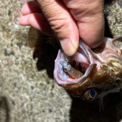 ジグヘッドウエイト調整