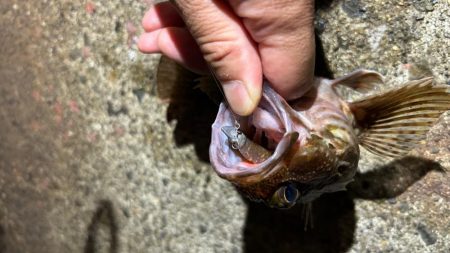 ジグヘッドウエイト調整