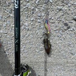 まだ早いですね〜‼️