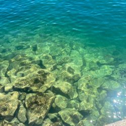 M:I /ベラギスタ