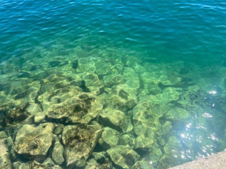 M:I /ベラギスタ