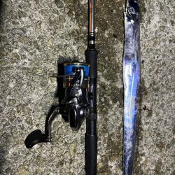 太刀魚食べたい