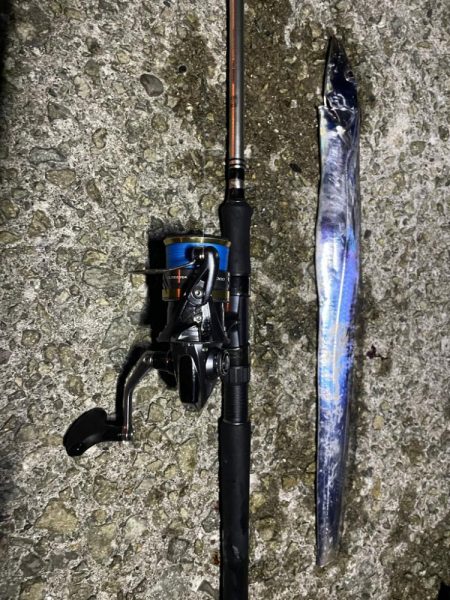 太刀魚食べたい