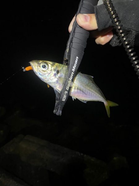 フロートアジング