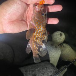 難しい、、、、