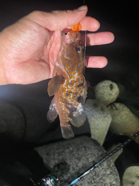 難しい、、、、