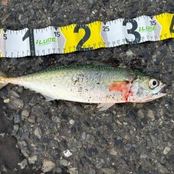 ジグサビキ　28