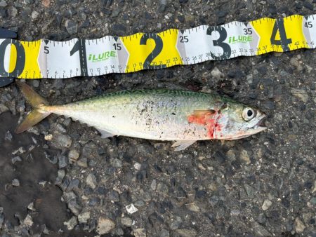 ジグサビキ　28