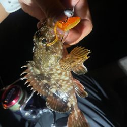 ツライトゲーム