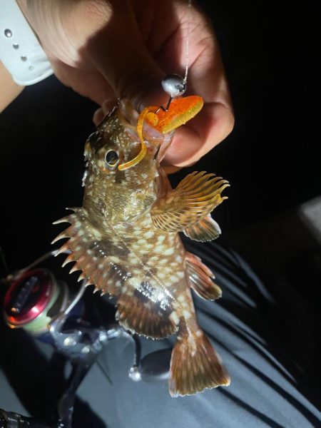 ツライトゲーム