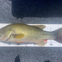 1日ボート釣行！