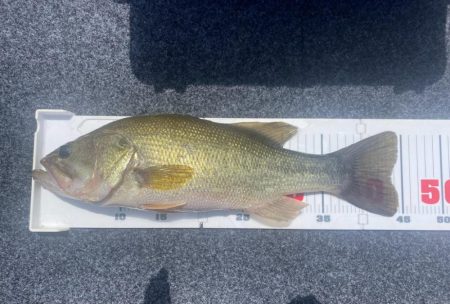 1日ボート釣行！