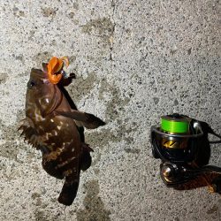 リベンジ達成！？