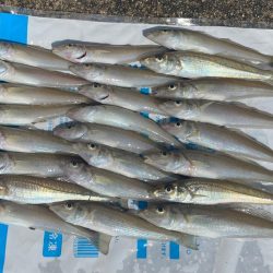 ドハマり中‼️