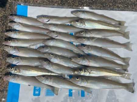 ドハマり中‼️…