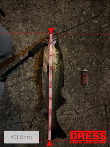 嬉しい釣行でした。